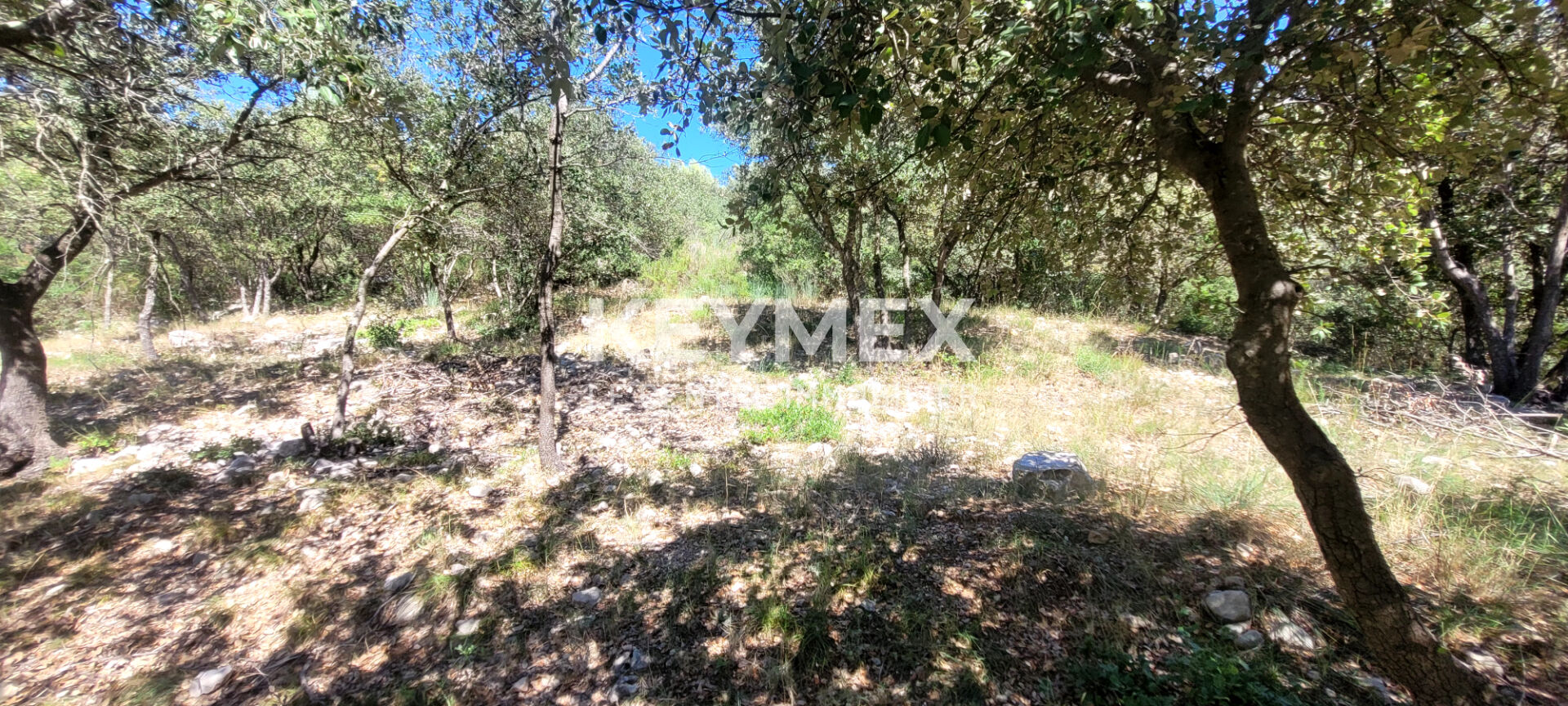 Évasion au vert à Solliès-Toucas