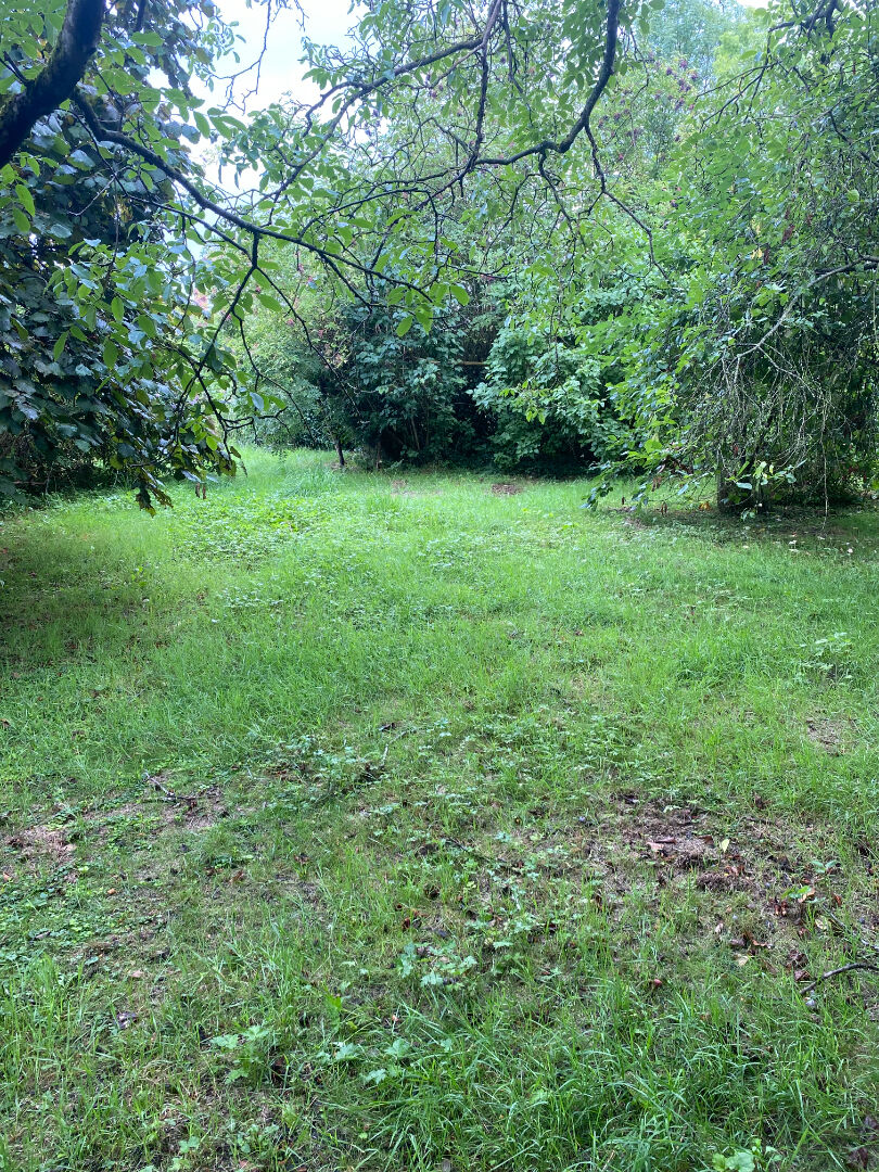 Terrain Bethemont La Foret