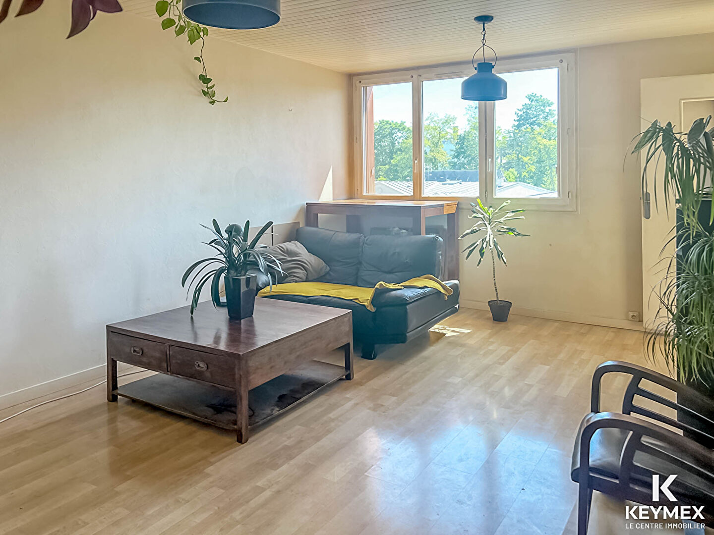 À VENDRE EN EXCLUSIVITÉ CHEZ KEYMEX IMMOBILIER Appartement F3 de 58 m²  à Bry-sur-Marne