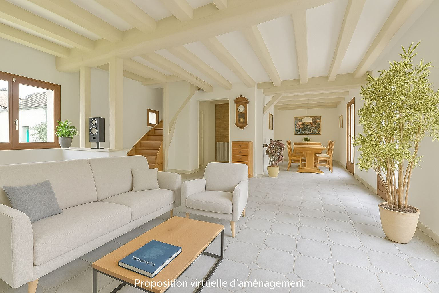 Maison lumineuse avec dépendance - secteur prisé de Champagne